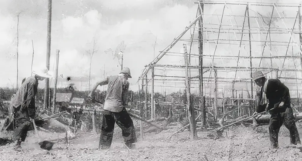 Chinese workers in Mukim V