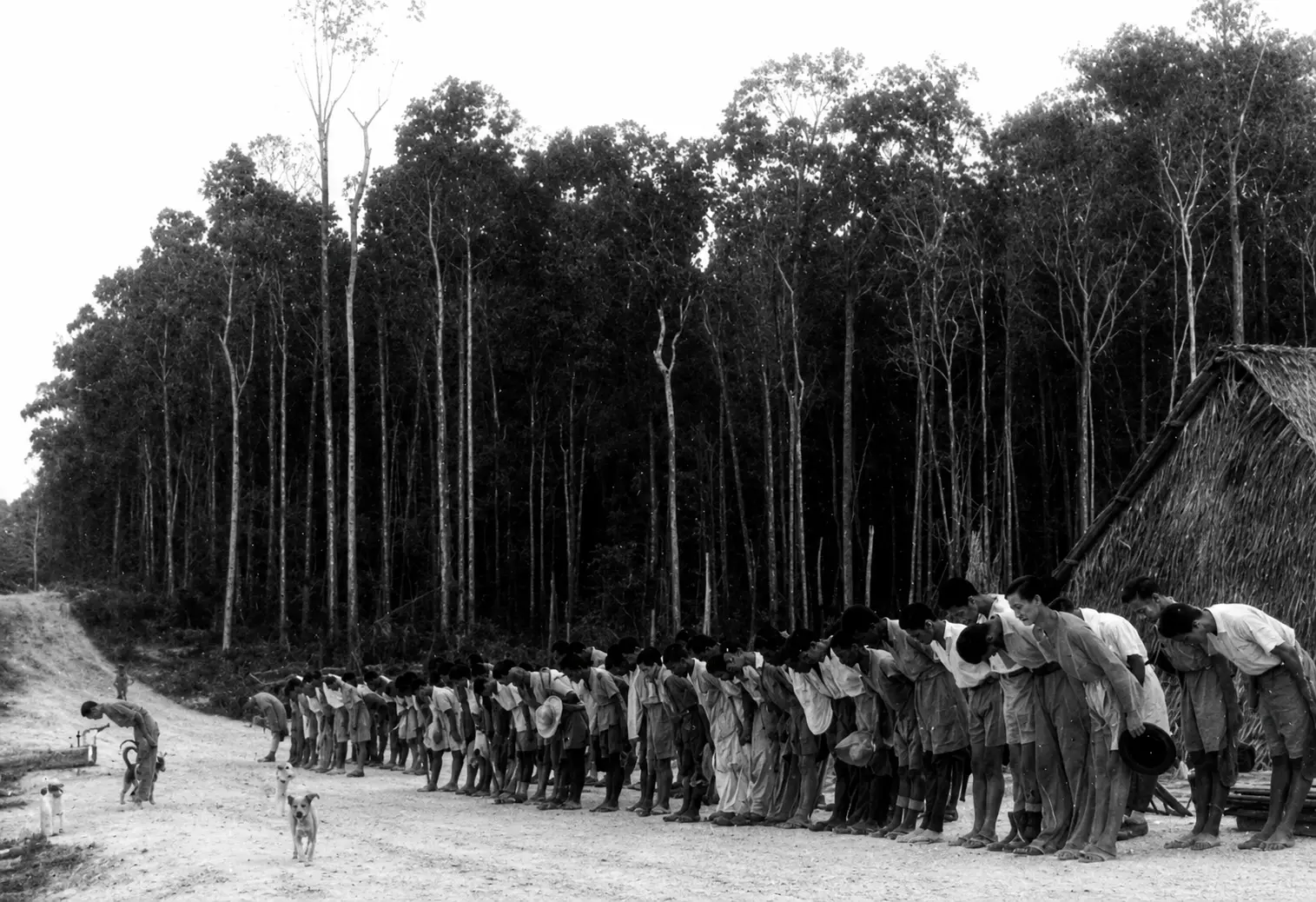 Black-and-white occupation-era photograph showing a long line of settlers bowing beside an attap building at Bahau